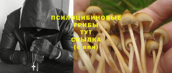 трава Дмитриев