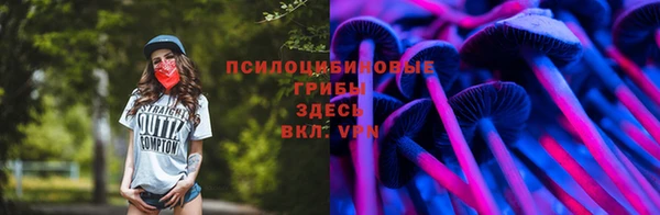 мдпв Дмитров