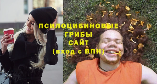 трава Дмитриев