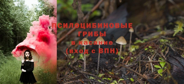 мдпв Дмитров