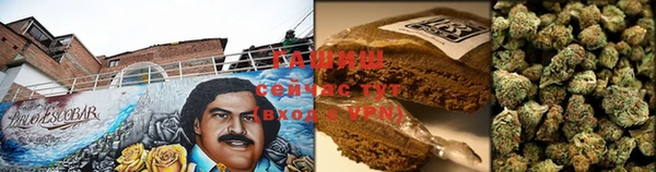 мдпв Дмитров