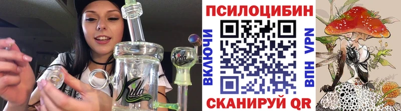 ОМГ ОМГ ссылка  Перевоз  Псилоцибиновые грибы Psilocybe  магазин продажи  